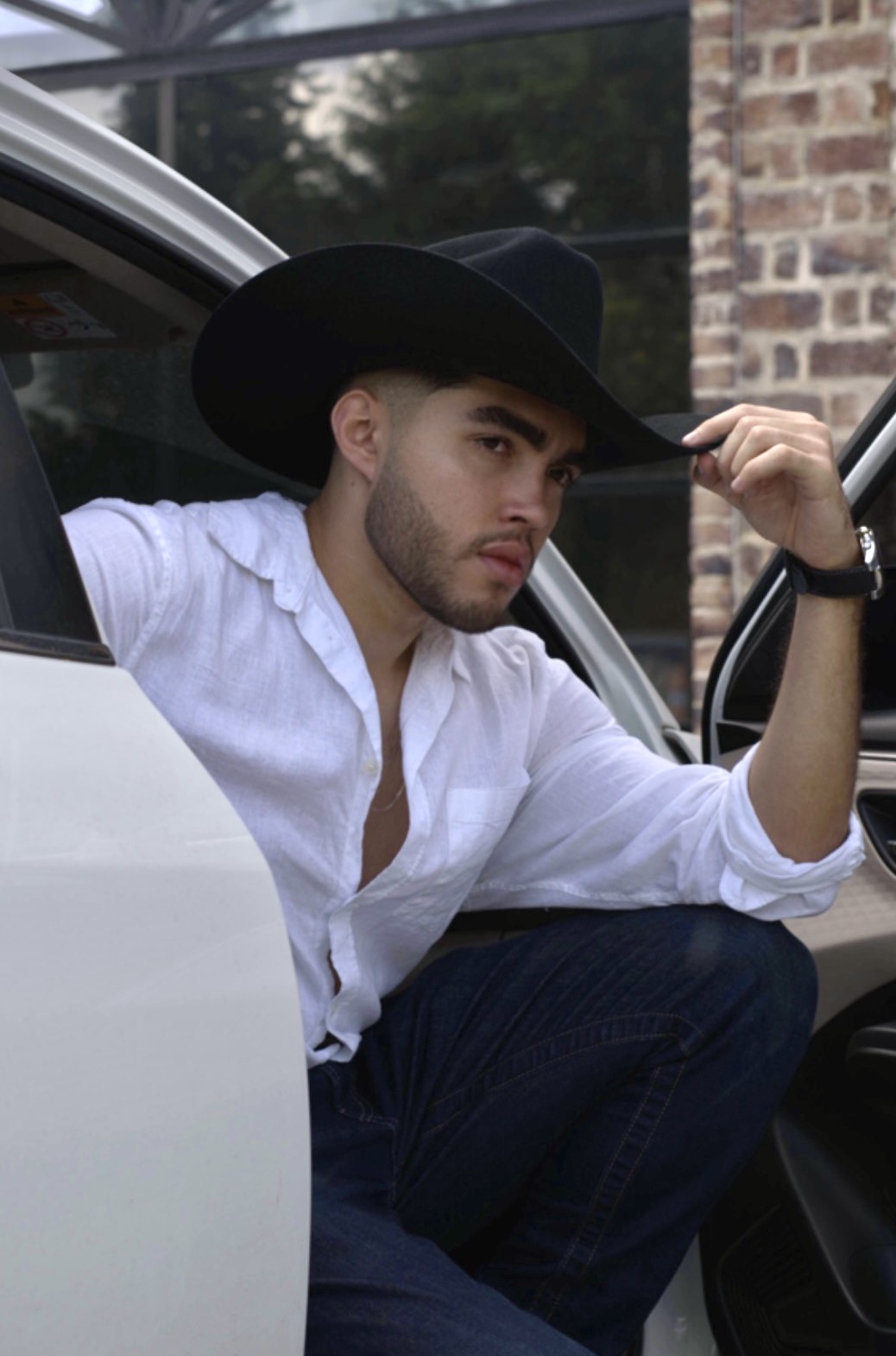 elegancia diurna · carro